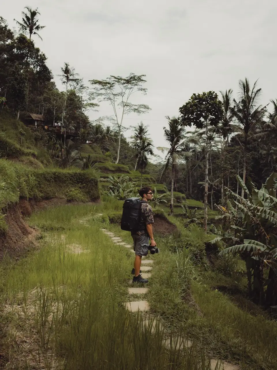 Person with a backpack walking along a path in a lush green forest