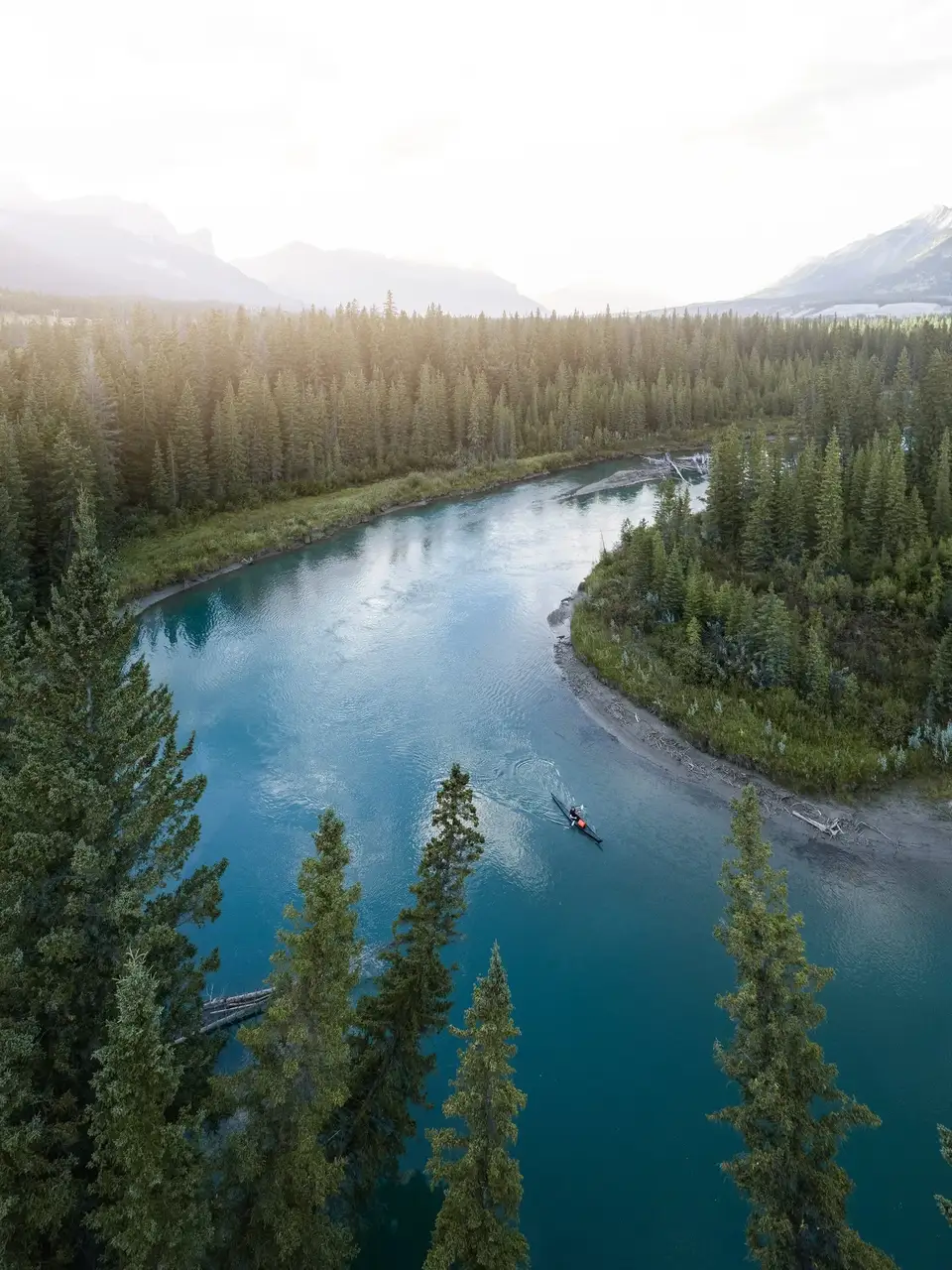 Scenic view of a river surrounded by trees with a boat in the distance.