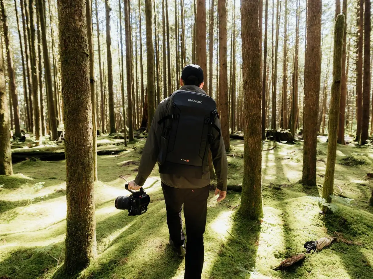 Person walking through a forest with a backpack and camera, surrounded by tall trees.